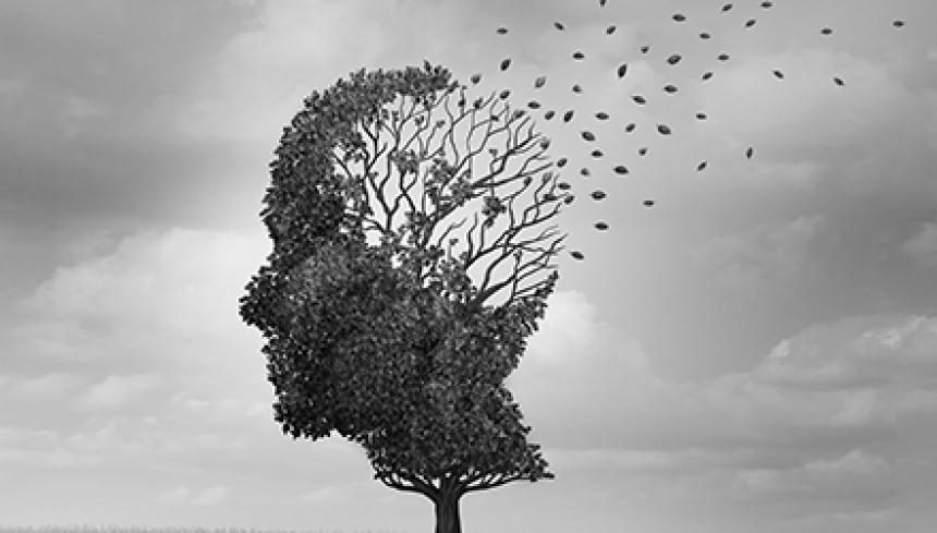 Understanding Alzheimers and Dementia